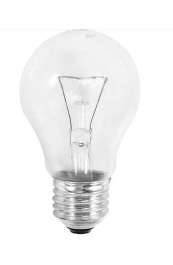Lampada Incandescente Baixa Tensão 12V 100W