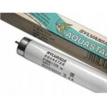 Lampada Fluor 18w Aquastar -10.000k  Aquario - Sylvania