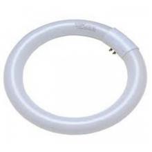 Lampada Circular 32 W Luz Branca Fria Brasfort