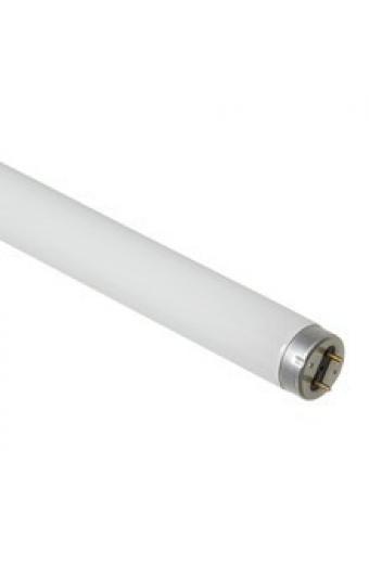 Lampada Fluor 20w GroLux 